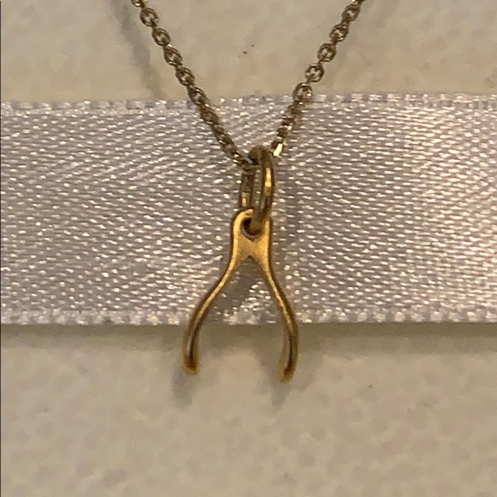 Wishbone Necklace - Picture 4 of 6